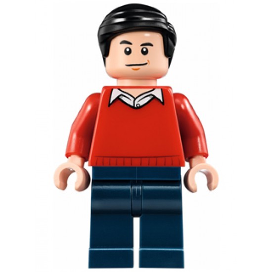 LEGO MINIFIG SUPER HEROES Dick Grayson